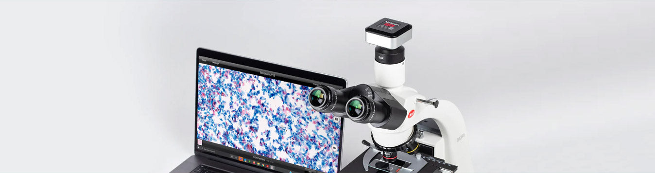 Microscopia