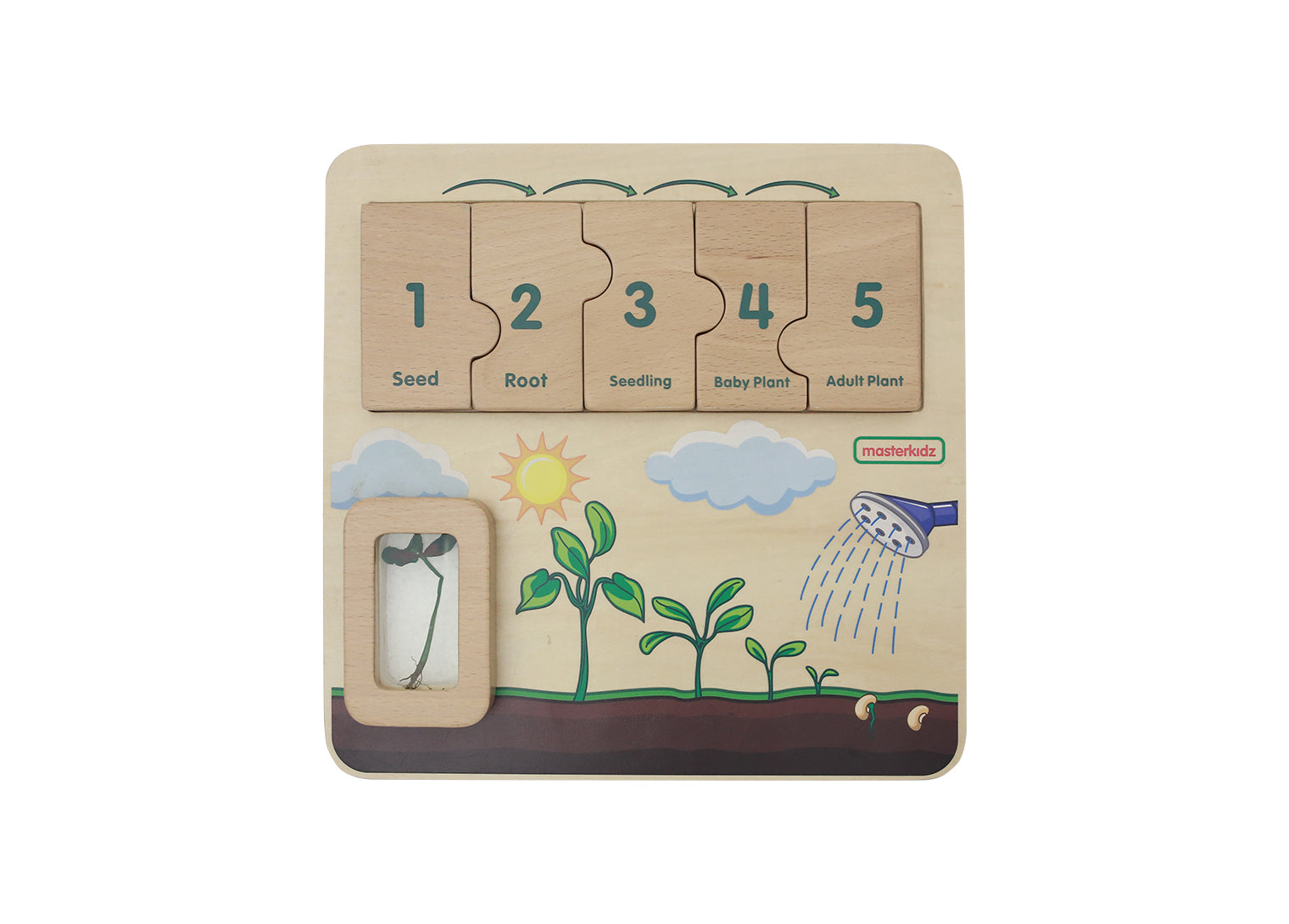 Quadro didático STEM ciclo de vida da planta