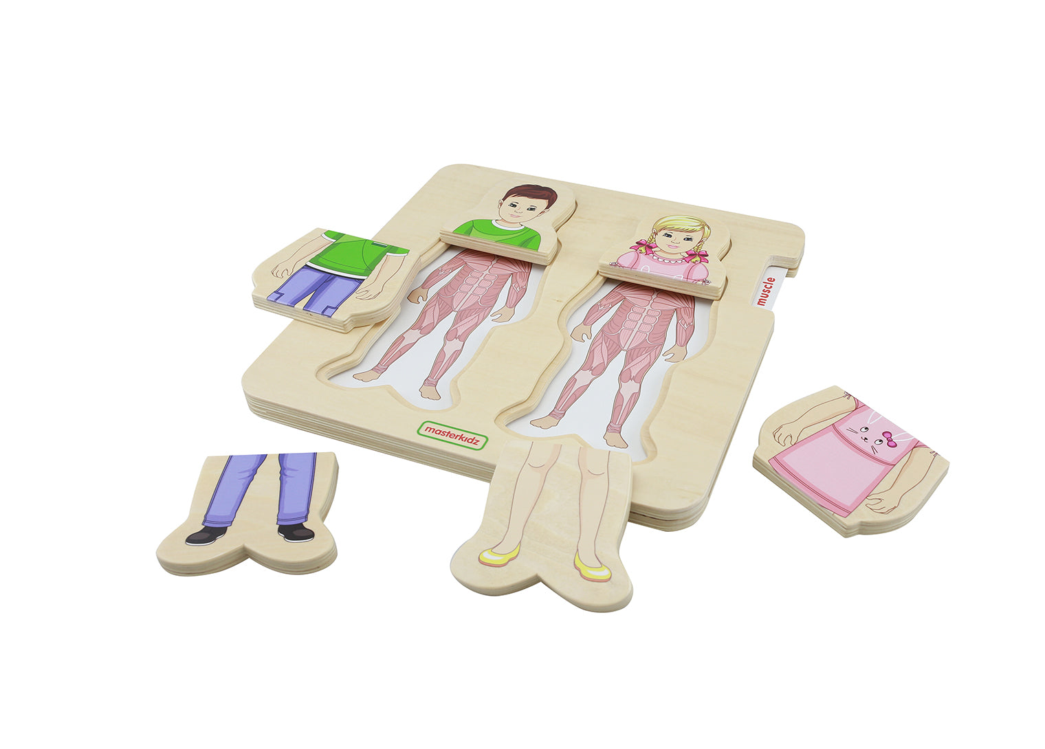 Quadro didático STEM camadas do corpo humano