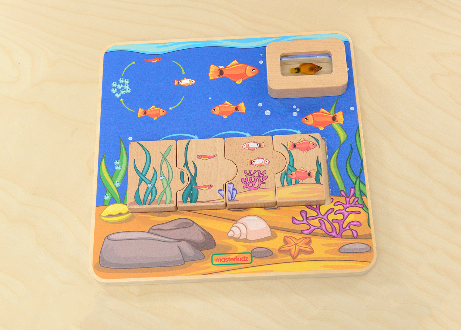 Quadro didático STEM ciclo de vida dos peixes