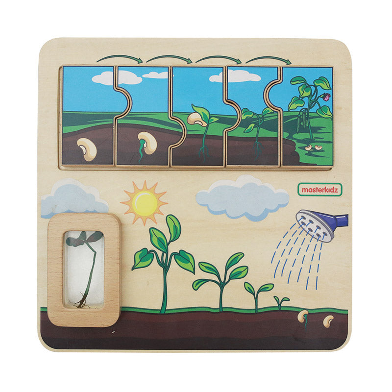 Quadro didático STEM ciclo de vida da planta