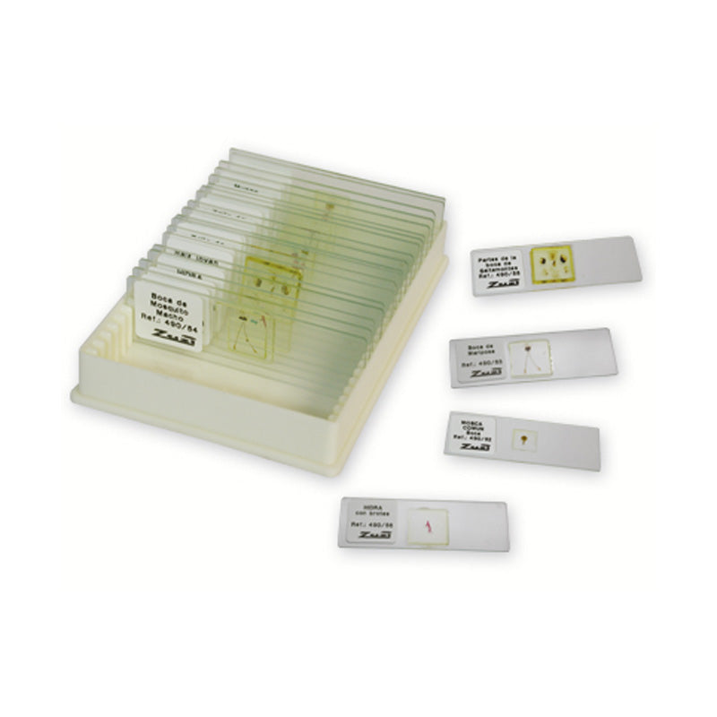 Animal histology collection (set of 24)