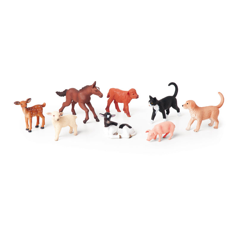 Conjunto de 8 animales bebés