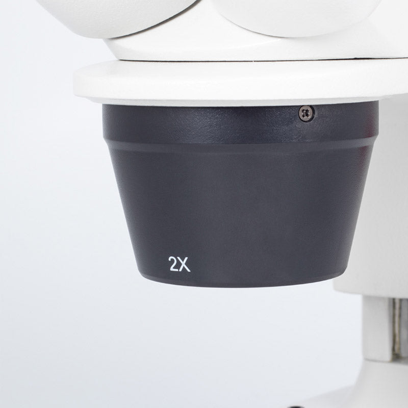 Lupa estereoscópica binocular Motic