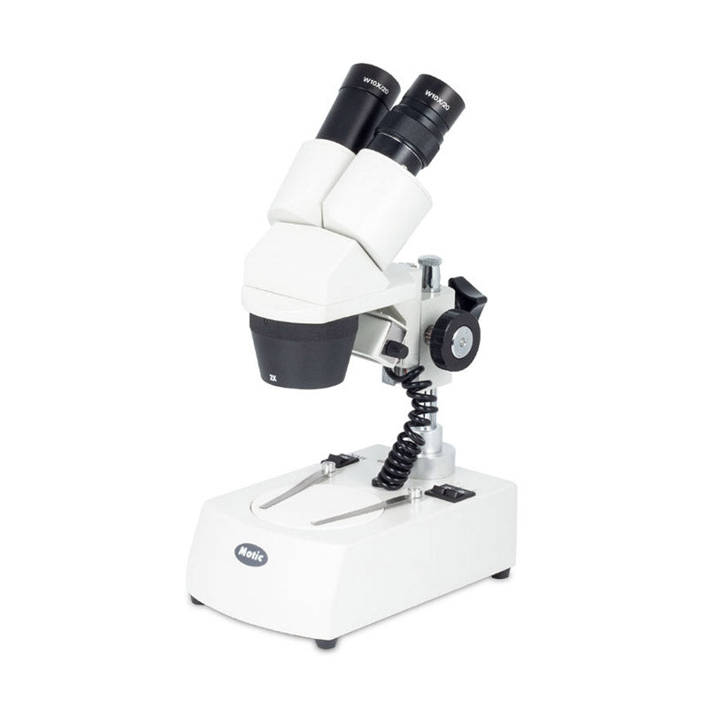 Lupa estereoscópica binocular