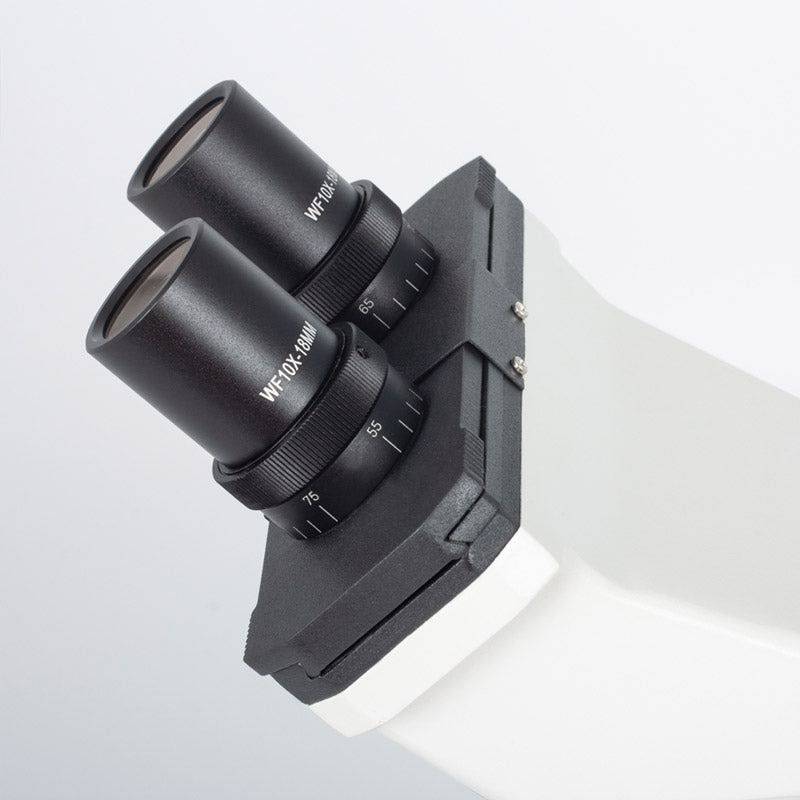 Microscópio Binocular Motic 2820 LED Sem fios - Sílaba