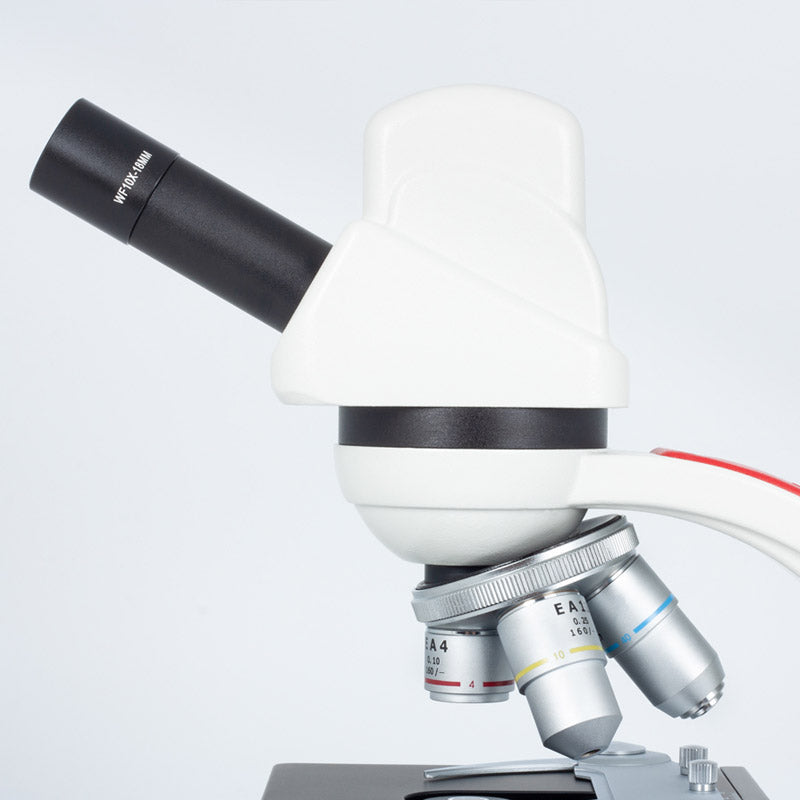 Microscópio Digital Motic DM1802A - Sílaba