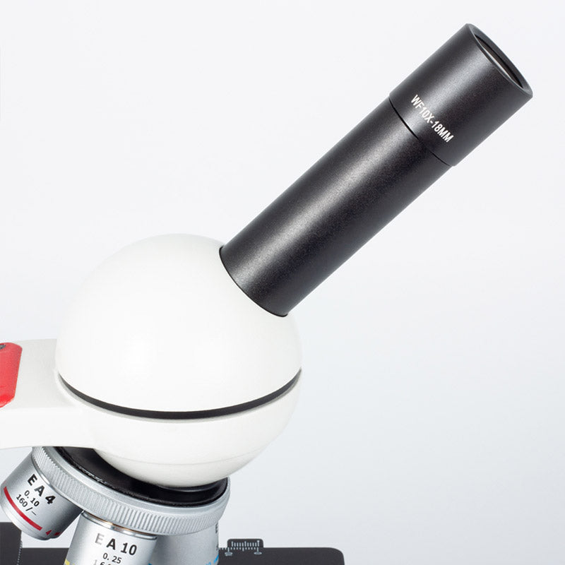 Microscópio Monocular Motic 2802 LED Sem fios - Sílaba