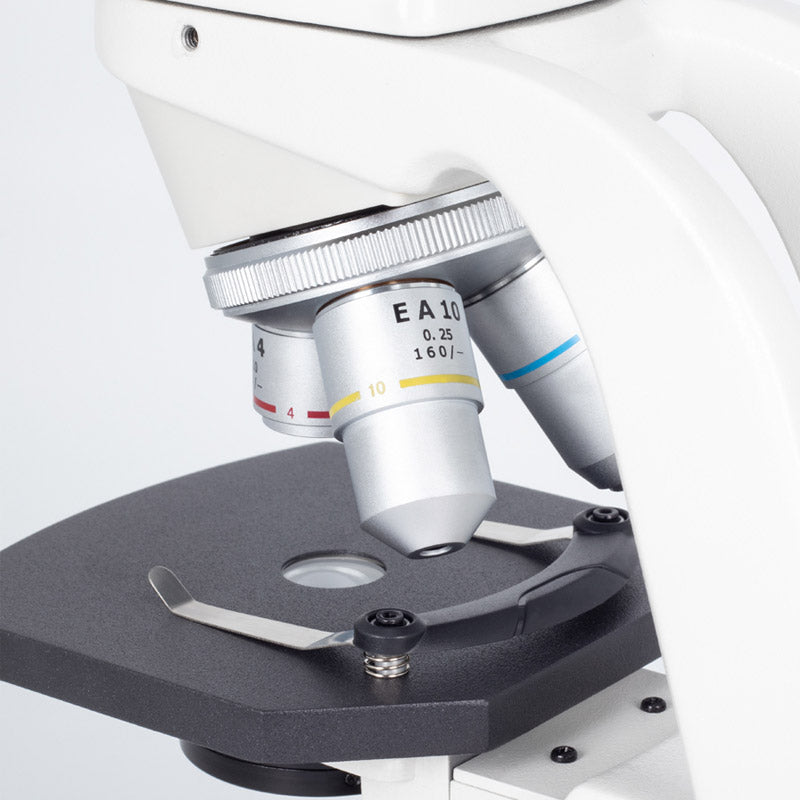 Microscópio Monocular Motic RED 101 - Sílaba