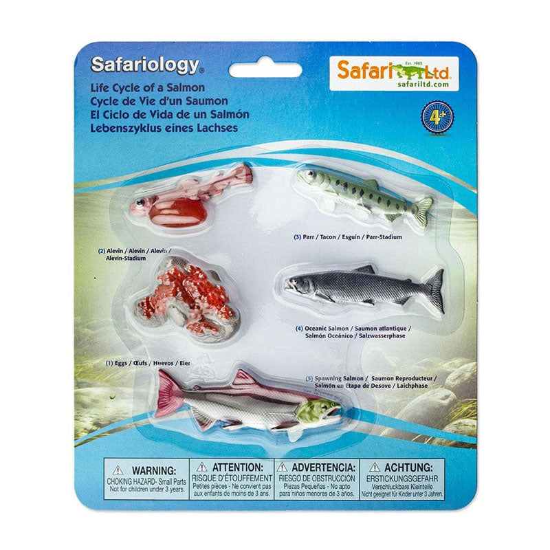 Ciclo de vida del salmón