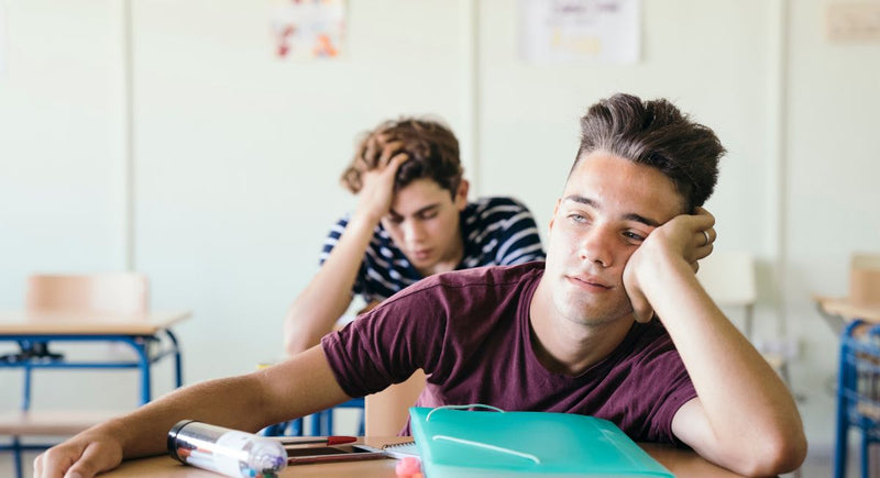 Alunos desatentos e agitados em contexto de sala de aula: Estratégias para professores