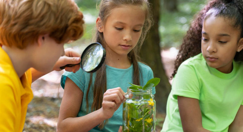 Práticas Educativas para um Desenvolvimento Sustentável