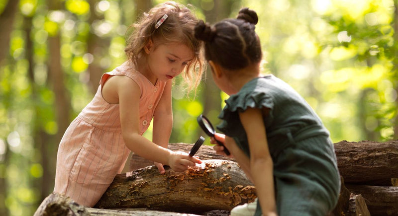 Dia Mundial da Terra: o compromisso das crianças e dos alunos com a preservação do nosso planeta