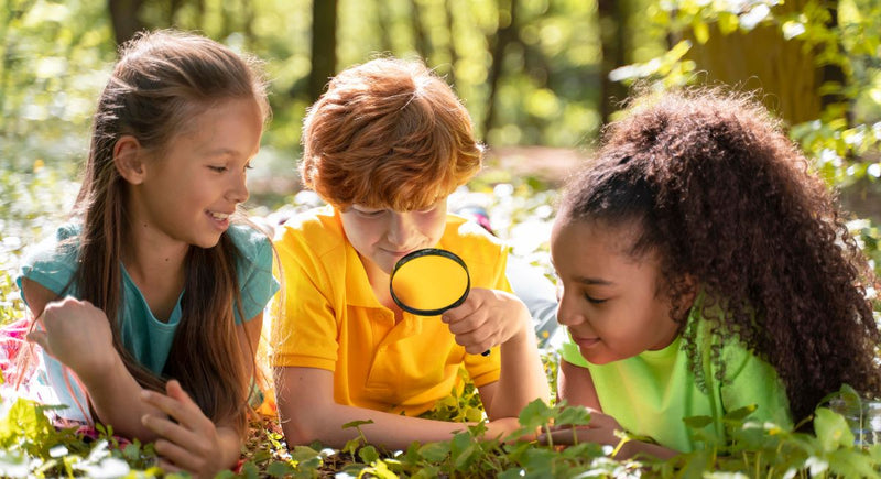Observação de Insetos: Uma atividade entusiasmante para as férias de verão