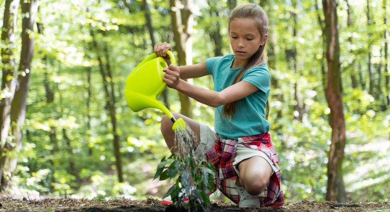 Como promover uma Educação Ambiental e a Sustentabilidade