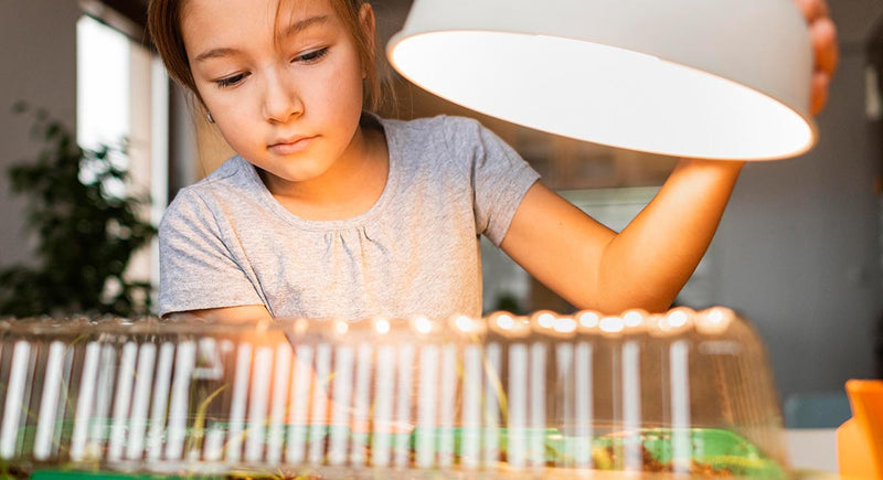 Descobrir o calor: uma aventura energética para crianças