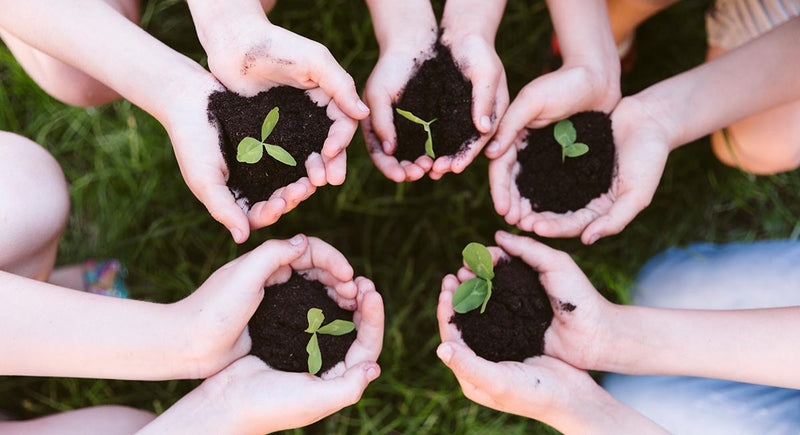 A importância da educação ambiental para as crianças