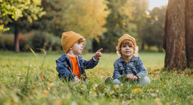 Explorar a Natureza na Primavera: Uma Aventura de Descoberta