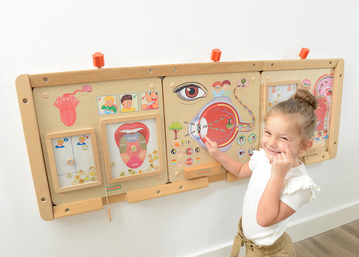 Quadro didático Sentido da visão