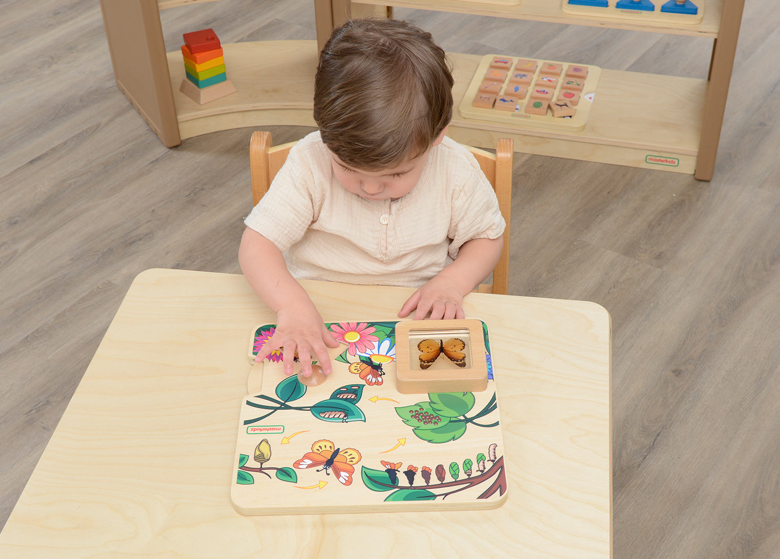 Quadro didático STEM ciclo de vida da borboleta