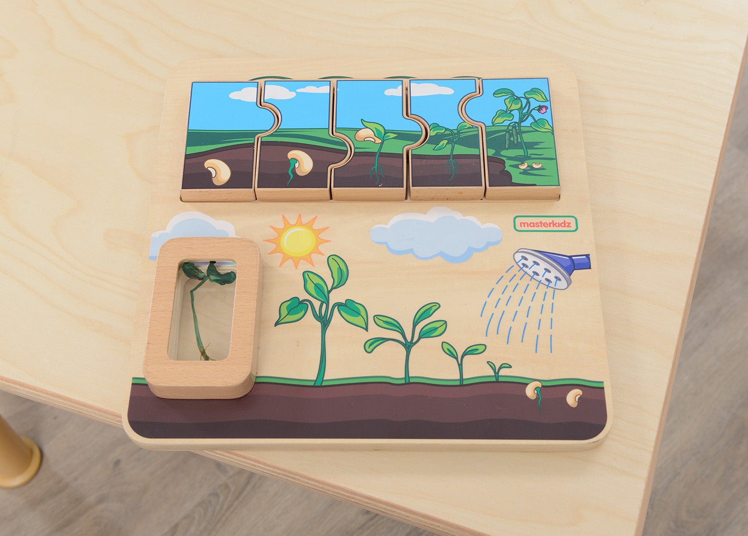 Quadro didático STEM ciclo de vida da planta