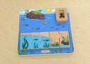 Quadro didático STEM ciclo de vida do sapo