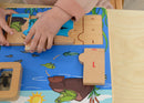 Quadro didático STEM ciclo de vida do sapo