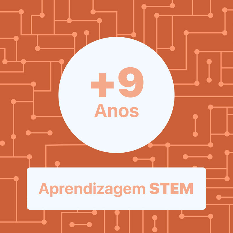 Kit Caixa de Experiências Micro:bit (sem placa)