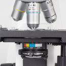 Microscópio Binocular Motic Stellar 1-B