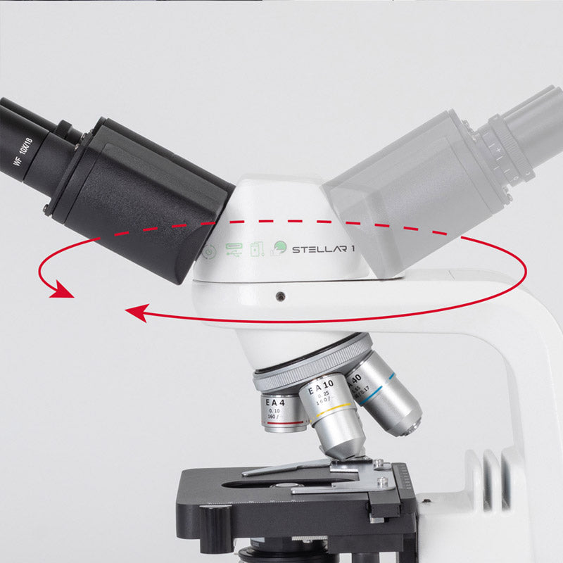 Microscópio binocular Motic Stellar 1-B