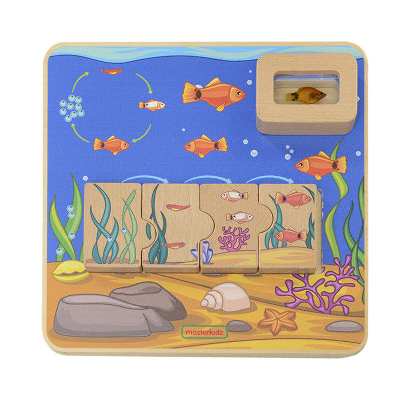 Quadro didático STEM ciclo de vida dos peixes