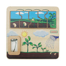 Quadro didático STEM ciclo de vida da planta