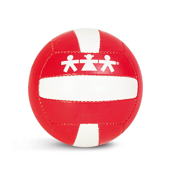 Bola de voleibol