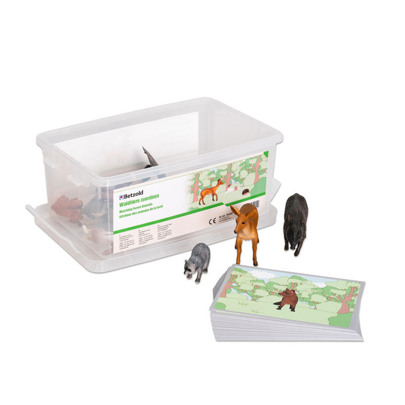 Animais da floresta - método Montessori (10 animais e 30 cartões)