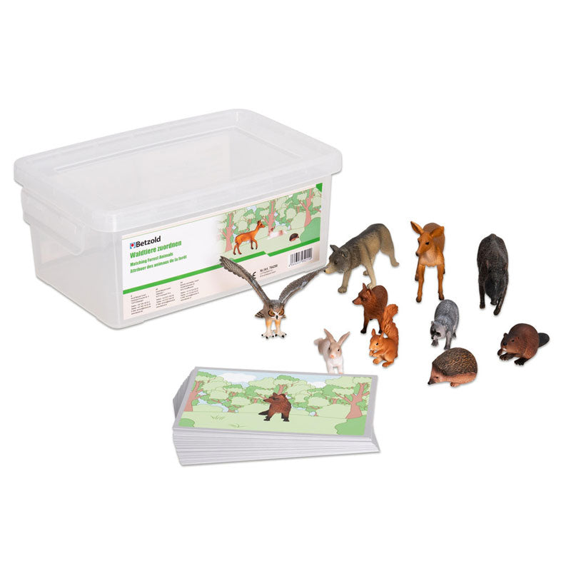 Animais da selva - método Montessori (8 animais e 30 cartões)