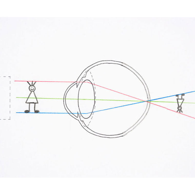 Kit de visión: cómo funciona el ojo humano