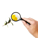 Lupa de mão aumento 3x com 15cm de comprimento