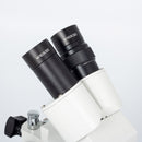 Lupa estereoscópica binocular