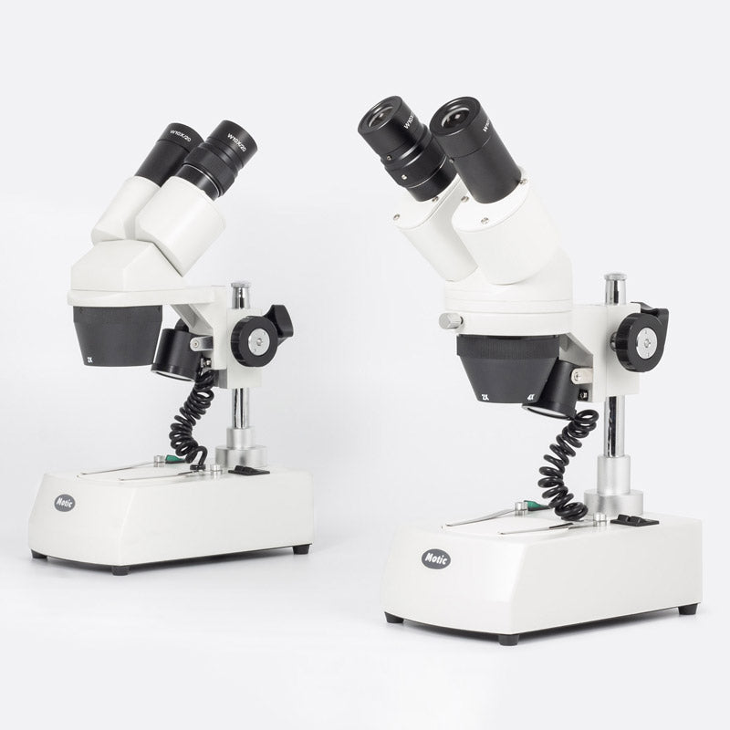 Lupa estereoscópica binocular