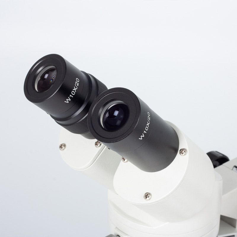 Lupa estereoscópica binocular Motic ST-36C-2LOO