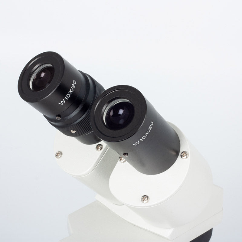 Lupa Estereoscópica Binocular ST-30C 6LED Sem fios Motic - Sílaba