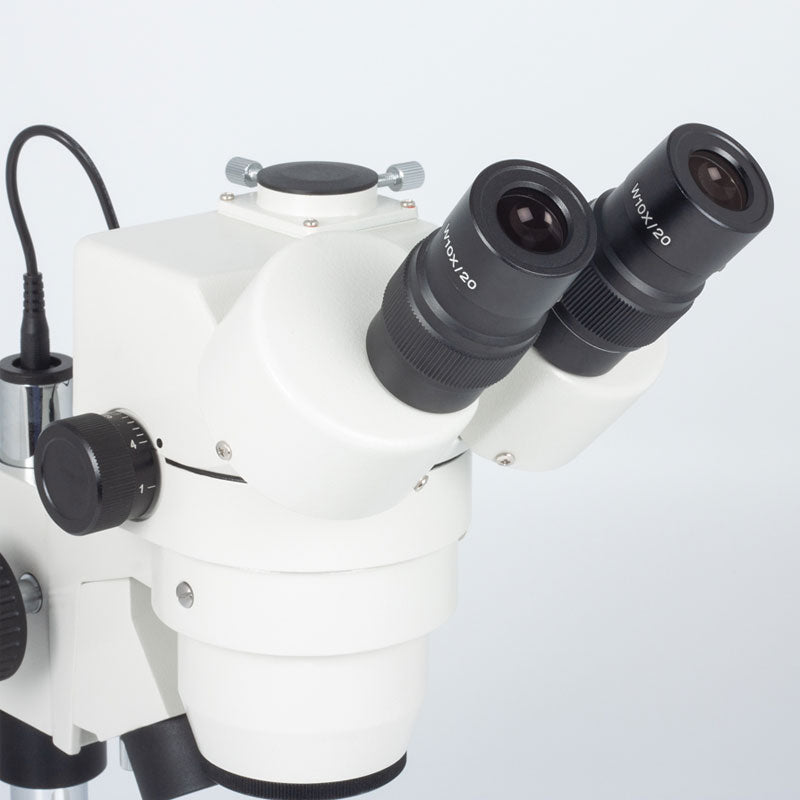 Lupa Estereoscópica SMZ-143-N2LED