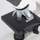 Microscópio Binocular