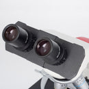 Microscópio Binocular