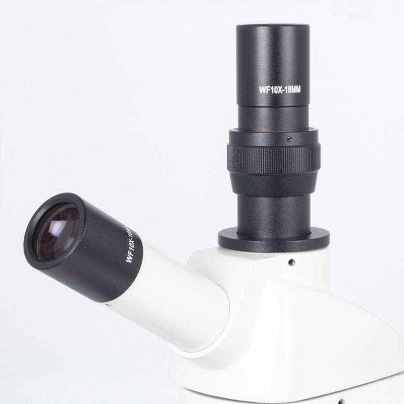 Microscópio Monocular Motic RED 101 - Sílaba