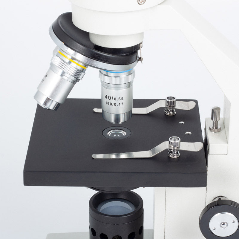 Microscópio Monocular Motic SFC-100FL - Sílaba