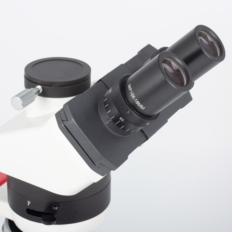 Microscópio Petrográfico Trinocular Motic PM-1823 - Sílaba