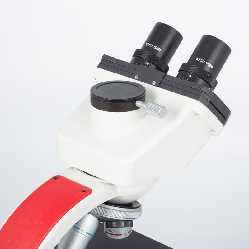 Microscópio Trinocular Motic 2823 LED Sem fios - Sílaba