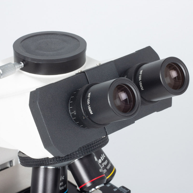 Microscópio Trinocular Motic B1 223E-SP - Sílaba