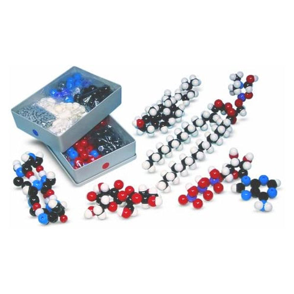 Modelo molecular bioquímica do professor (257 átomos e 160 ligações)